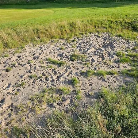 7 Person In Toftlund-by Traum * Toftlund